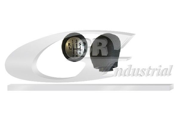 3RG Manete de mudanças 25617 3RG 25617 Alavanca de velocidades Megane 4 originais preço