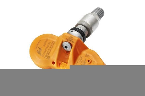 HUF Sensore di pressione pneumatici (TPMS) 73901102 HUF 73901102 Pressione pneumatici sistema controllo 3 Cabrio (E46) prezzo