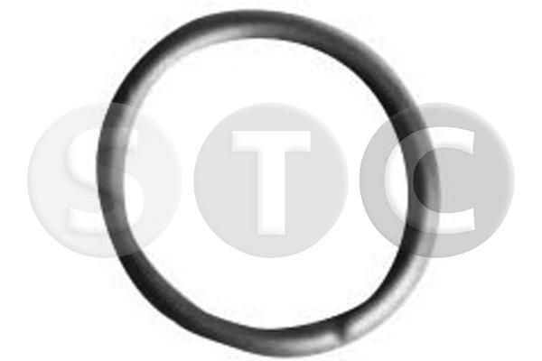 STC Dichtring, Einspritzventil T439200 T439200 Einspritzdüsen Dichtung FIAT DUCATO STC kaufen