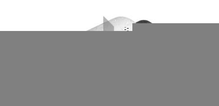 TALOSA Draagarmrubber 57-10607 Silemblock TALOSA BEETLE 57-10607 goedkoop