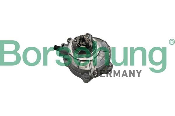 Vacuümpomp rembekrachtiger Borsehung B18773 Borsehung B18773: Tandempomp Audi A8 2006