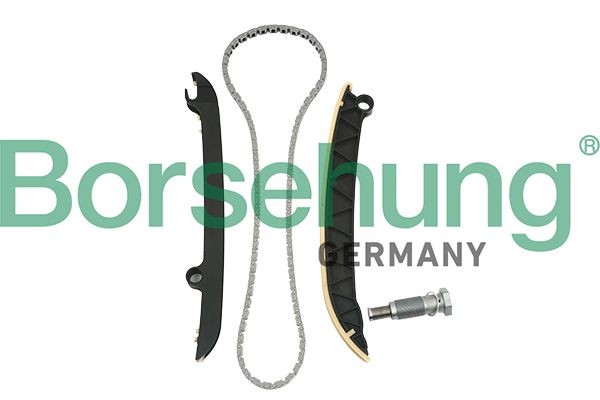 Borsehung Steuerkettensatz B18843 Steuerkette Borsehung Mitsubishi CARISMA B18843
