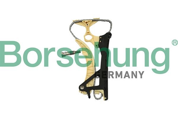 Borsehung Distributiekettingset B18854 BMW 5-serie Kettingset, distributie Borsehung B18854