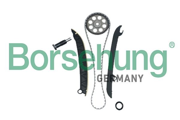 Borsehung Kit catena distribuzione B18977 B18977 costo Kit catena distribuzione Volkswagen POLO Borsehung