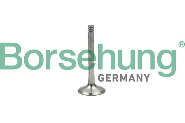 Borsehung Výpustný ventil B18997 Borsehung B18997 Výfukový ventil Skoda Superb 3u lacné