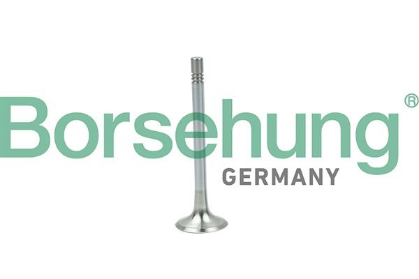 Borsehung Exhaust valve B19004 Borsehung B19004 FORD USA Exhaust valve replacement cost