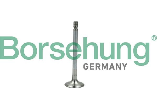 Borsehung Valvola di scarico B19005 Borsehung B19005 Valvola di scarico VW Golf 6 Cabrio originale prezzo