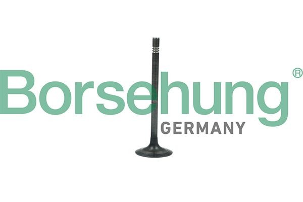 Borsehung Avgasventil B19006 Avgasventil Skoda NJ5 B19006 Borsehung