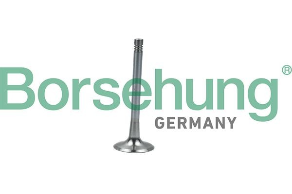 Borsehung Exhaust valve B19008 Borsehung B19008 Audi TT FV engine exhaust valve replacement