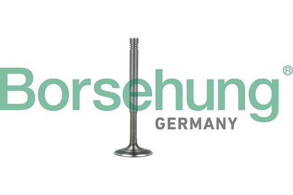 Borsehung Uitlaatklep B19010 Uitlaatklep Borsehung FELICIA B19010 goedkoop