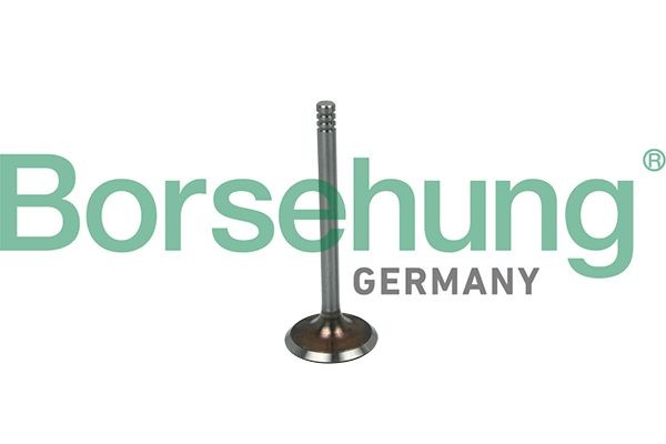 Borsehung Valvola di aspirazione B19016 Borsehung B19016 Valvola di aspirazione VW Caddy 2 Van prezzo