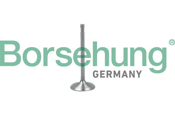 Borsehung Sisselaskeventiil B19017 Sisselaskeklapp Borsehung 1. Seeria B19017 odav