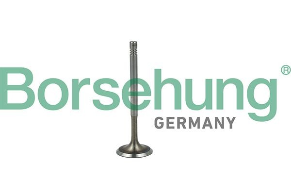 Borsehung Inlaatklep B19019 Inlaatklep Borsehung FIAT B19019