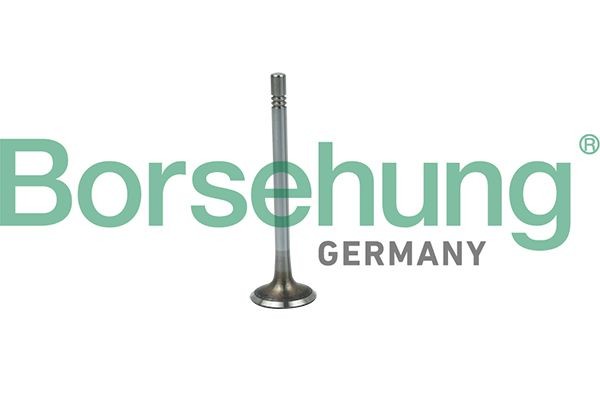 Borsehung Indsugningsventil B19020 Borsehung B19020 originale Indsugningsventil ROVER 45 pris