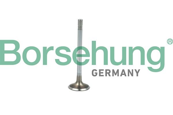 Borsehung Sisselaskeventiil B19021 Borsehung B19021 Sisselaskeklapp VW CC 358 originaal hind