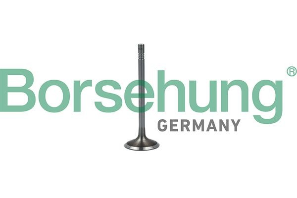 Borsehung Sisselaskeventiil B19023 Sisselaskeventiil Borsehung 1. Seeria B19023 odav