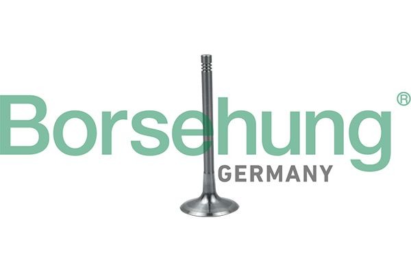 Borsehung Sisselaskeventiil B19024 hind Sisselaskeklapp SKODA B19024 Borsehung