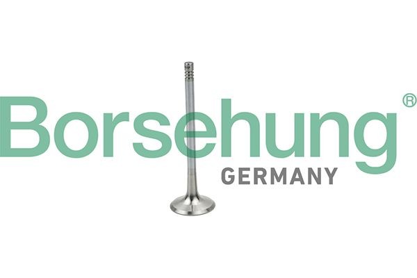 Borsehung Inlaatklep B19025 Borsehung B19025 Inlaatklep Volkswagen SHARAN goedkoop