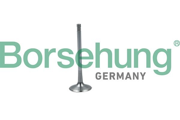 Borsehung Innløpsventil B19026 Innløpsventil Volkswagen 2H_, S1B B19026 Borsehung