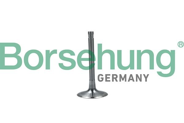 Borsehung Insugsventil B19028 Borsehung B19028 Insugsventil