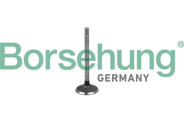 Borsehung Inlaatklep B19029 B19029 Borsehung Inlaatklep Fiat goedkoop