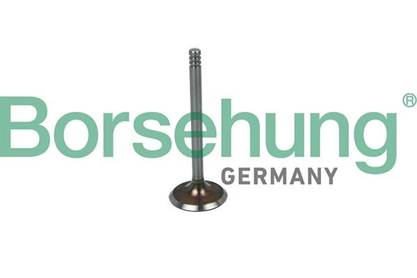 Borsehung Sací ventil B19030 Sací ventil Borsehung BMW 02 B19030