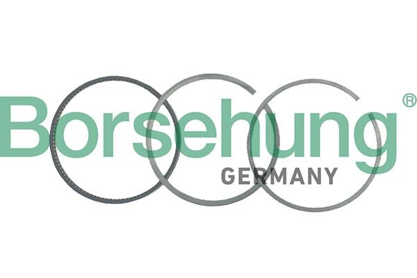 Borsehung Virzuļa gredzenu komplekts B19038 Virzuļu gredzeni Borsehung LANCIA B19038