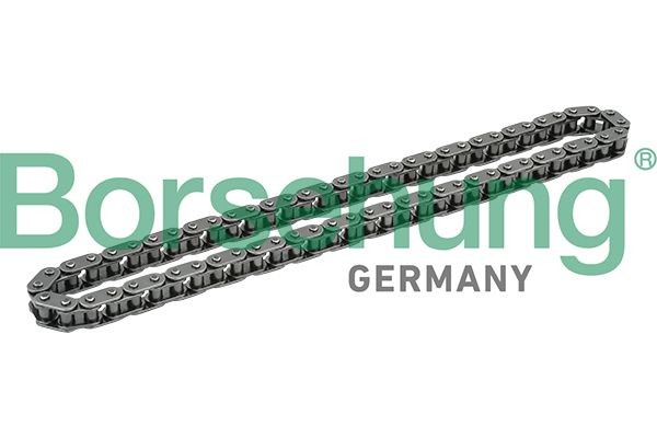Catena di distribuzione Borsehung B1C016 Borsehung B1C016 Catena motore Seat IBIZA 2018