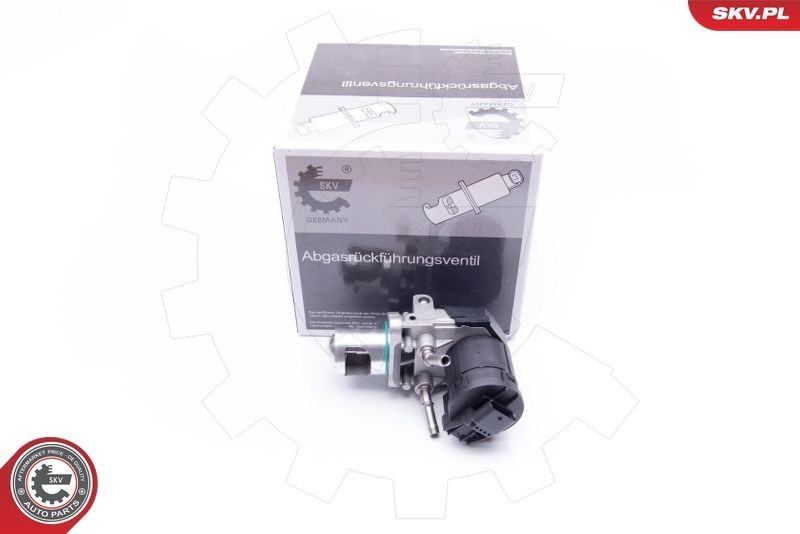 ESEN SKV Vanne EGR 14SKV169 BMW X4 Module-EGR ESEN SKV 14SKV169