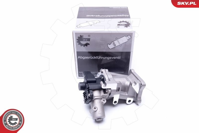 ESEN SKV EGR-klapp 14SKV171 EGR klapp ESEN SKV JAGUAR 14SKV171