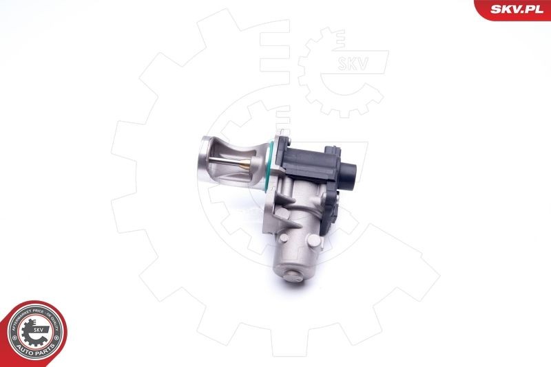 ESEN SKV EGR-ventil 14SKV172 14SKV172 ESEN SKV EGR-ventil Honda