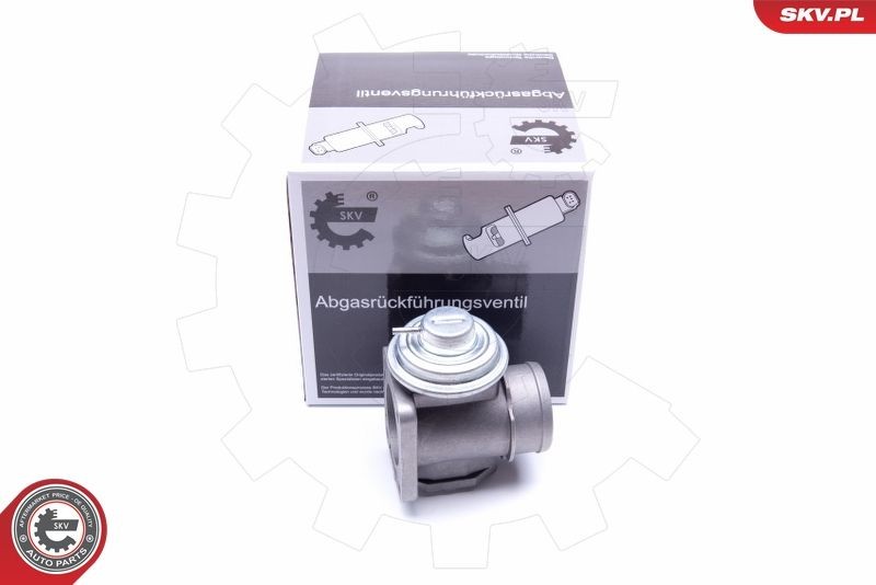 ESEN SKV EGR-ventil 14SKV174 Byta EGR-ventil BMW E34 Touring kostnad ESEN SKV 14SKV174
