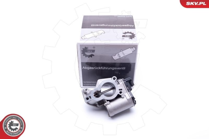 ESEN SKV Vanne EGR 14SKV184 14SKV184 Vanne EGR RENAULT MASTER ESEN SKV