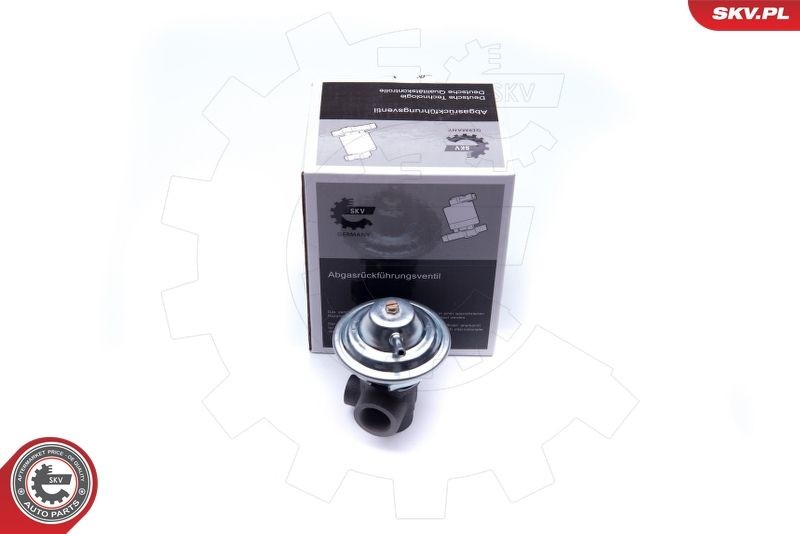 ESEN SKV EGR-ventil 14SKV187 14SKV187 ESEN SKV agr Kia CEE'D
