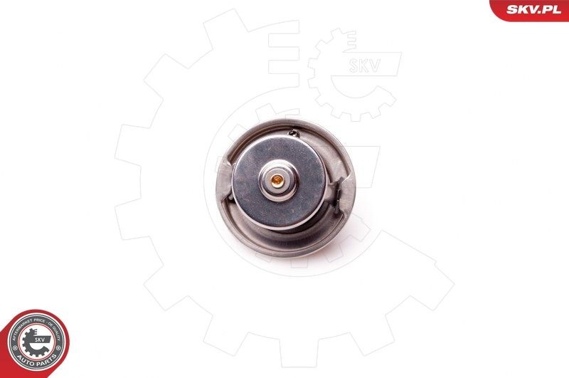 ESEN SKV Kühlwasserthermostat 20SKV048 20SKV048 Thermostat ESEN SKV PEUGEOT 306