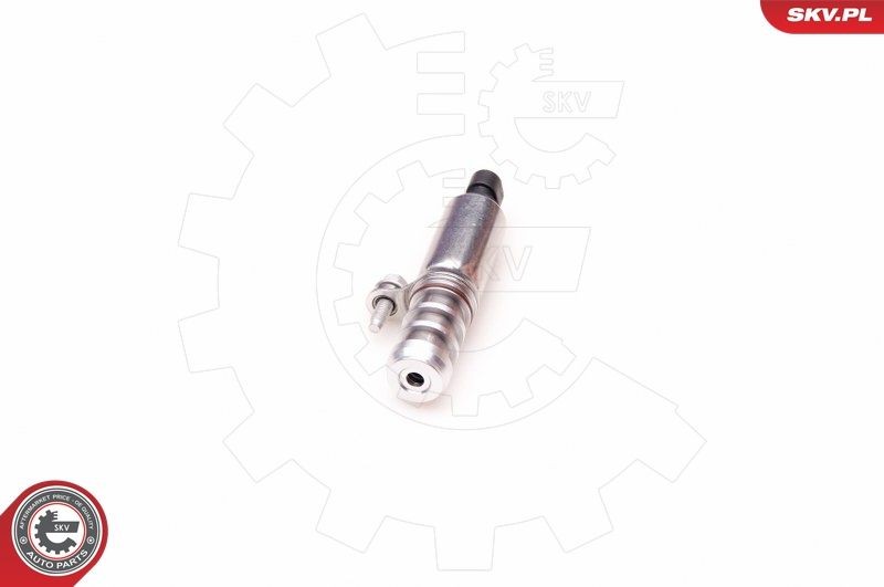 ESEN SKV Vadības vārsts, Sadales vārpstas iestatīšana 39SKV002 39SKV002 ESEN SKV Vadības vārsts, sadales vārpstas iestatīšana Renault lēti