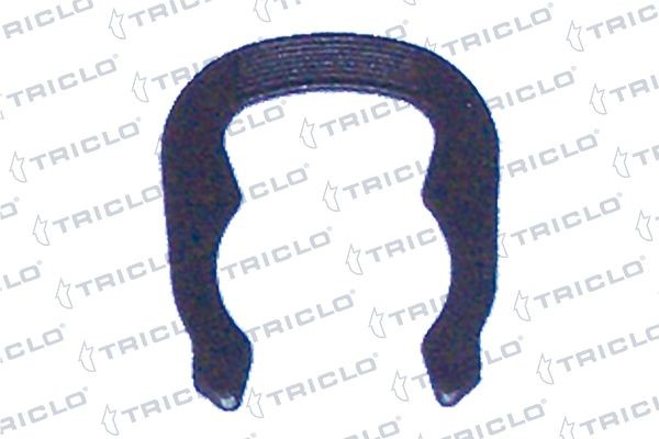 TRICLO Holdefjær, propp kjølemiddelflens 463665 Kjølevæskeflens TRICLO Kia PICANTO 463665