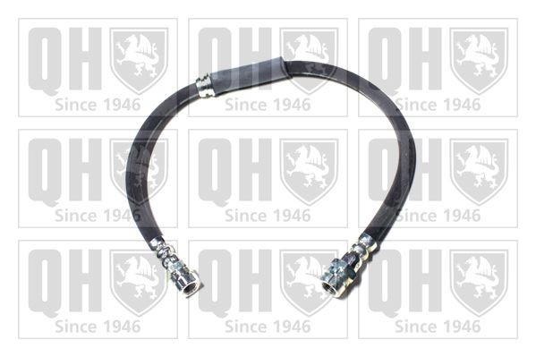 QUINTON HAZELL Remslang BFH5583 BFH5583 QUINTON HAZELL Remslang Audi goedkoop