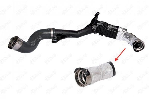 Laadluchtslang IBRAS 11193 IBRAS 11193 Luchtslang Renault CLIO 2018