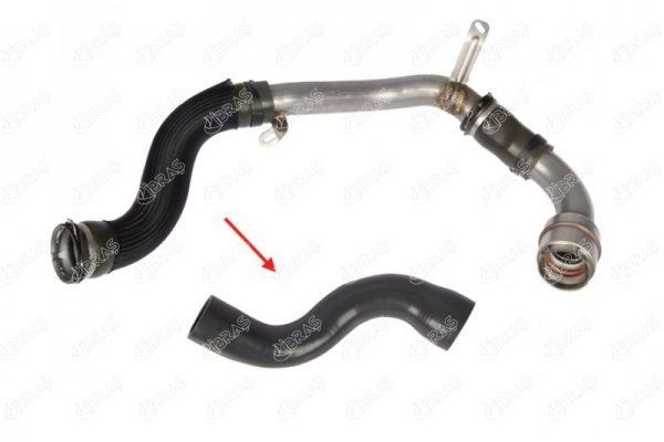 IBRAS Flessibile aria alimentazione 11460 11460 costo Tubo intercooler IBRAS RENAULT MEGANE