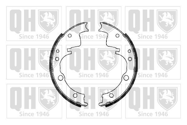 QUINTON HAZELL Remschoenset BS989 QUINTON HAZELL BS989 Remschoenen set Daily I Van / Station wagon prijs