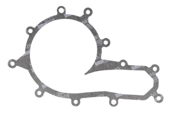 LEMA Pakking, waterpomp 24245.07 Pakking waterpomp LEMA DACIA 24245.07