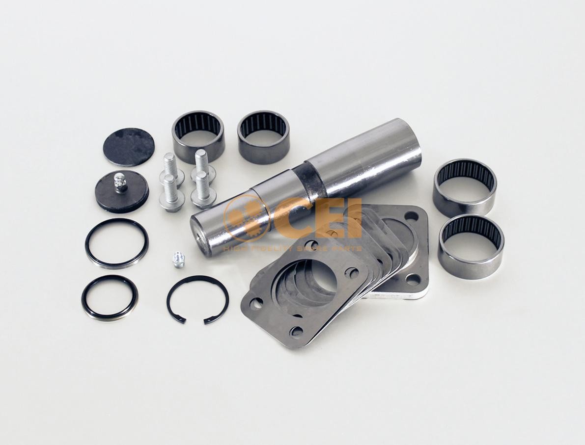 CEI Kit d'assemblage, pivot de fusée d'essieu 230.020 230.020 Pivot de fusée OPEL MOVANO CEI