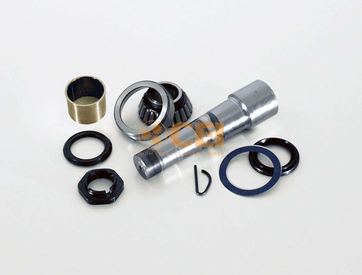 CEI Kit riparazione, Perno fuso a snodo 230.096 CEI 230.096 Perno del fuso a snodo Mascott Van / Station Wagon prezzo