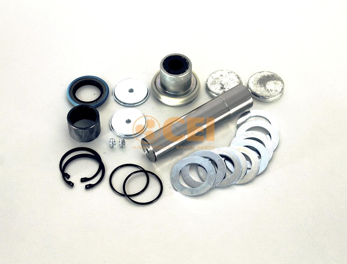 CEI Kit riparazione, Perno fuso a snodo 230.113 230.113 costo Perno del fuso a snodo CEI ALFA ROMEO 166