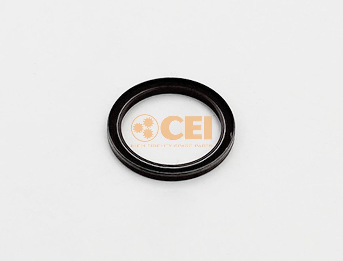Paraolio, Cambio manuale CEI 139.851 CEI 139.851 Paraolio cambio Citroën C2 2014