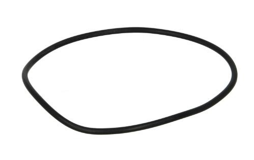 LEMA Vārpstas blīvgredzens, Degvielas augstspiediena sūknis 104755 104755 Blīve, degvielas augstspiediena sūknis DODGE DAKOTA LEMA