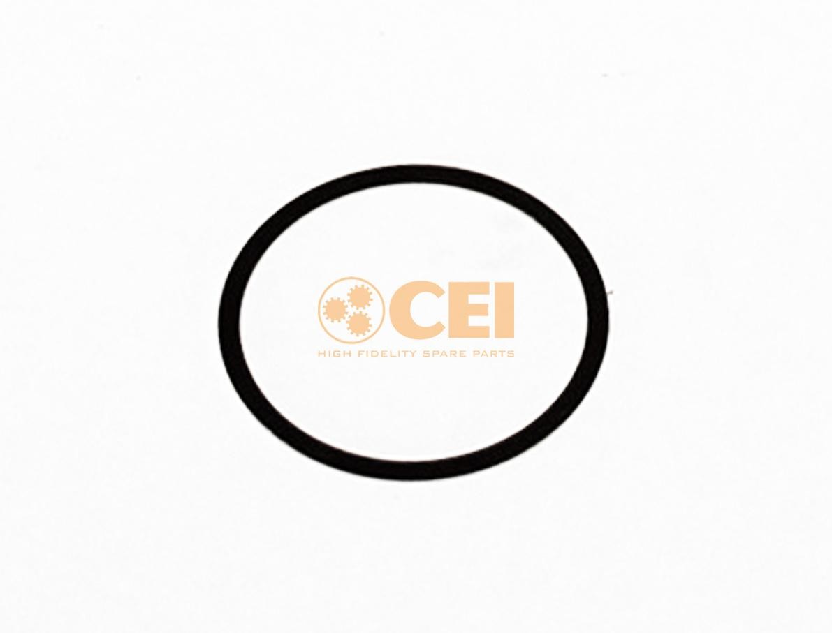 CEI Paraolio, Cambio manuale 269.678 269.678 Guarnizioni cambio CEI Seat