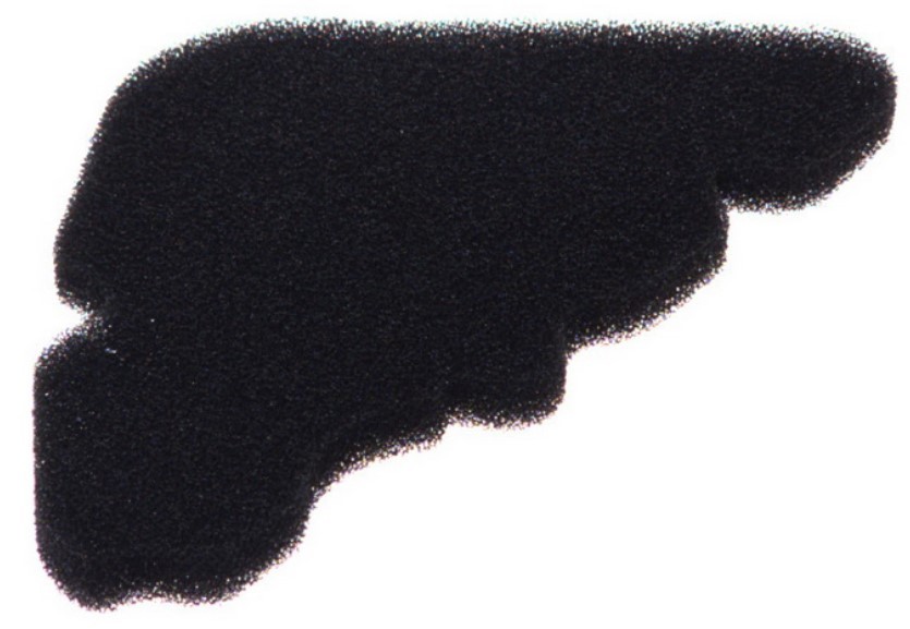 VICMA Ilmansuodatin 9209 9209 VICMA Ilmansuodatin MAZDA 3