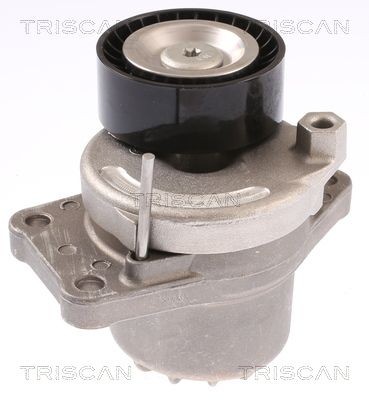 TRISCAN Spännrulle, aggregatrem 8641 103051 8641 103051 TRISCAN spännrulle multirem PEUGEOT BOXER